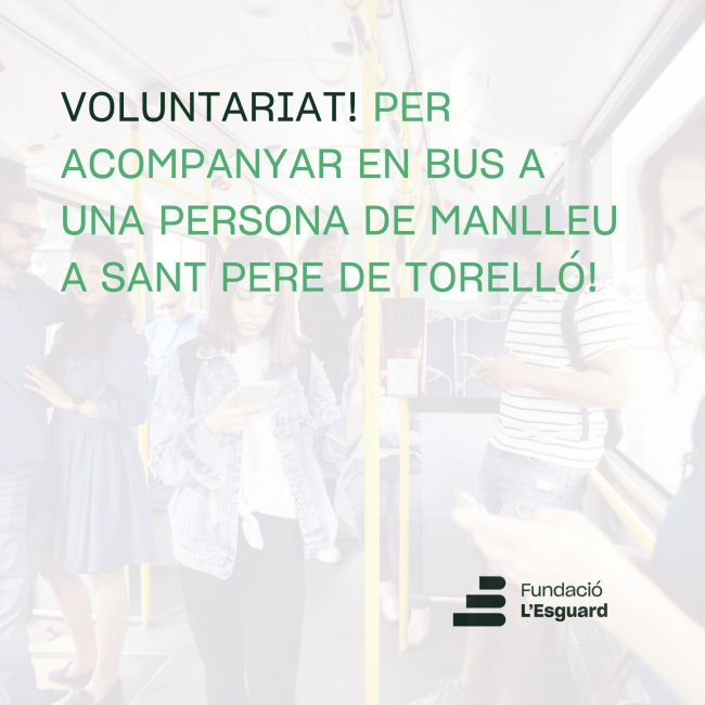 Publis Voluntariat (7)