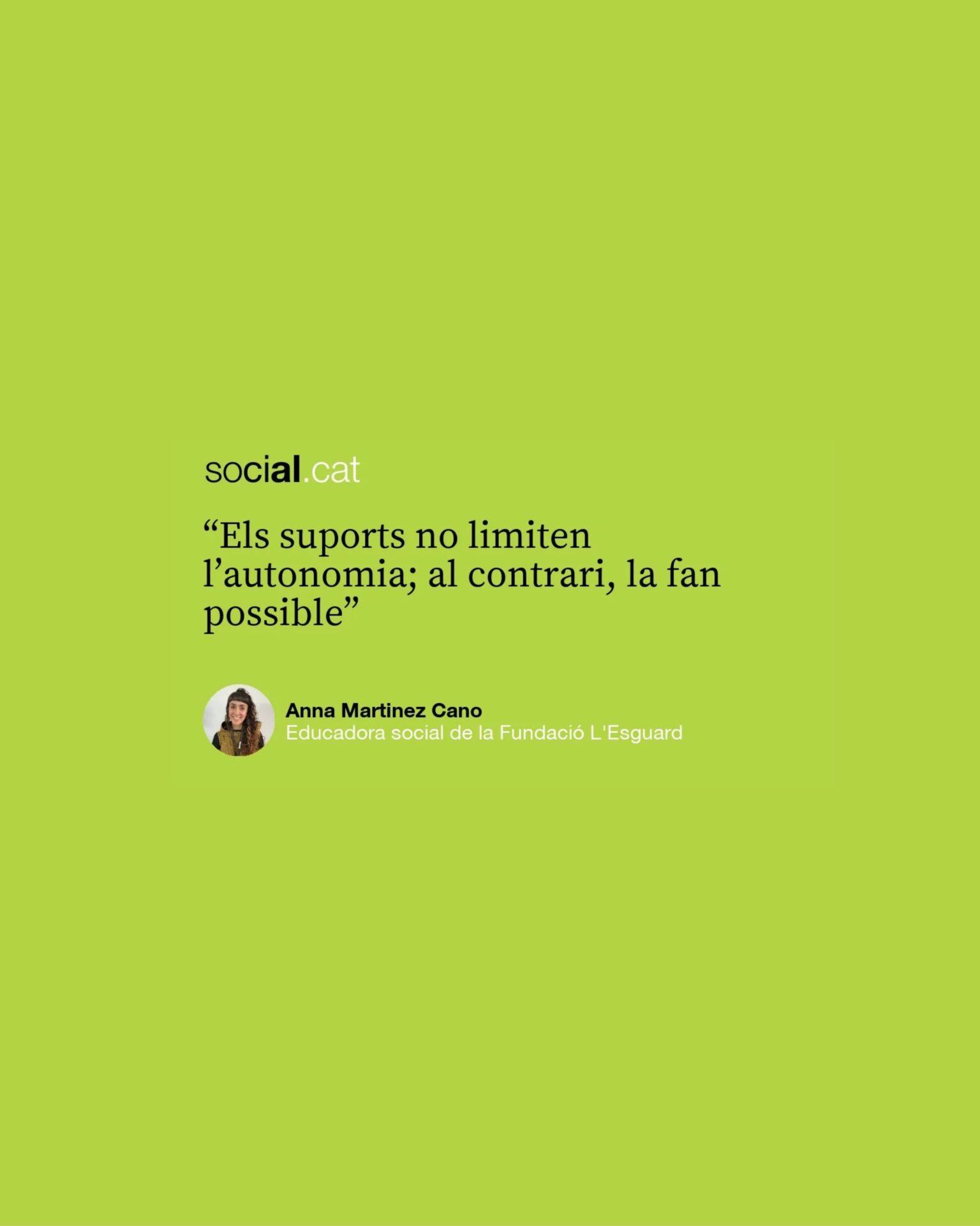 Social.cat Instagram (1)